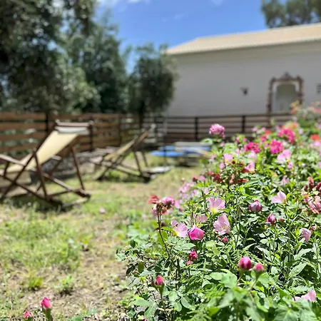 Apartamento Andreas Hideaway Paleokastritsa