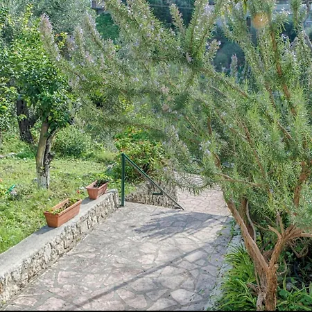 Andreas Hideaway Apartamento Paleokastritsa