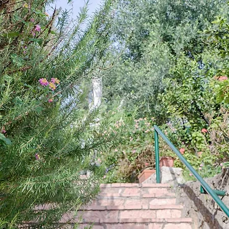 Andreas Hideaway * باليوكاستريتسا